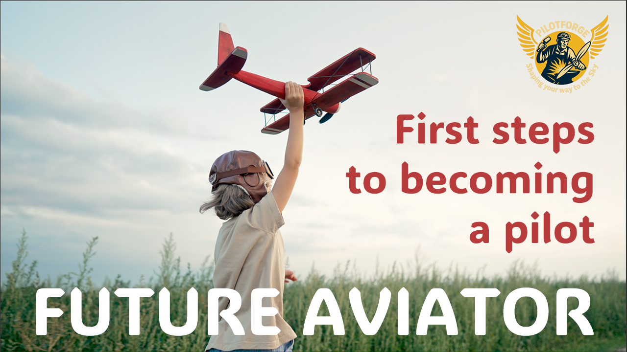 FUTURE AVIATOR LESSON 1 First steps to become a pilot.